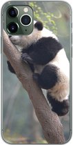 Geschikt voor iPhone 11 Pro hoesje - Panda - Dier - Boom - Siliconen Telefoonhoesje