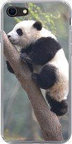 Geschikt voor iPhone SE 2020 hoesje - Panda - Dier - Boom - Siliconen Telefoonhoesje