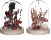 Ø8 h.10 cm pink- burgundy Dome with dried flowers 2 ass | Kerst | Decoratie