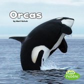 Black and White Animals - Orcas