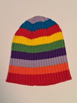 Regenboog Muts - One Size - Multicolor - Voor Koud Weer - Hoofd Deksel