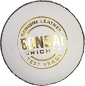 Bonsai Cricket - White Cricket balls – Mens 5 & 1/2 oz - Hand stitched 4-piece - Genuine Leather - Test grade - 40-50 overs
