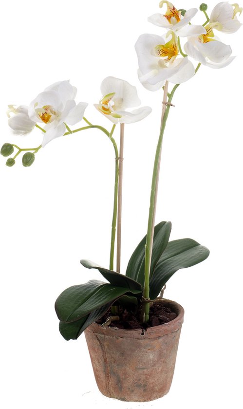 Kunstbloem Orchidee 42cm wit in ronde pot 11cm