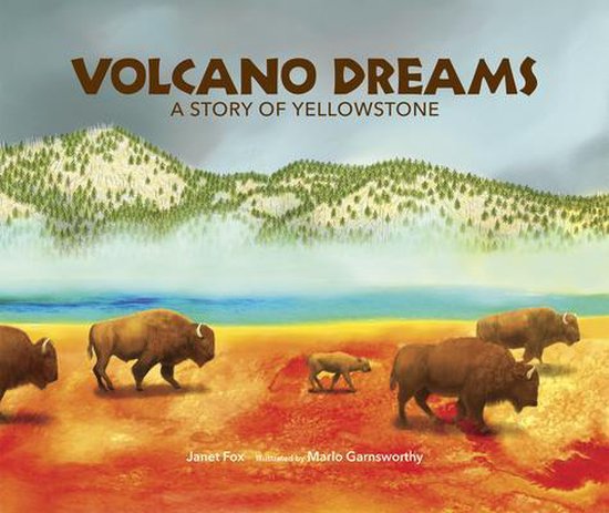 Boek cover Volcano Dreams van Janet Fox (Paperback)