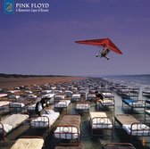 A Momentary Lapse Of Reason (LP)