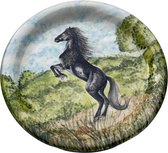 Bord- Decoratiebord- Paard- The Black Beauty- LIMITED EDITION- Collectors Item- Verzamelaar- Handmade- Handgemaakt- Handpainted- Handbeschilderd