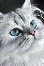 Wizardi Diamond Painting Cat eyes 20*30 cm vierkante steentjes
