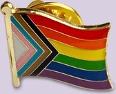 LGBTIQ Progressive Pride Kledingspeld Enamel Emaille Pin Badge Reverse Pin Broche