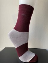 ZOOFF Socks - Fall Women