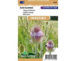 Sluis garden - Inheemse bloemenzaden - Grote kaardebol - geproduceerd in Nederland