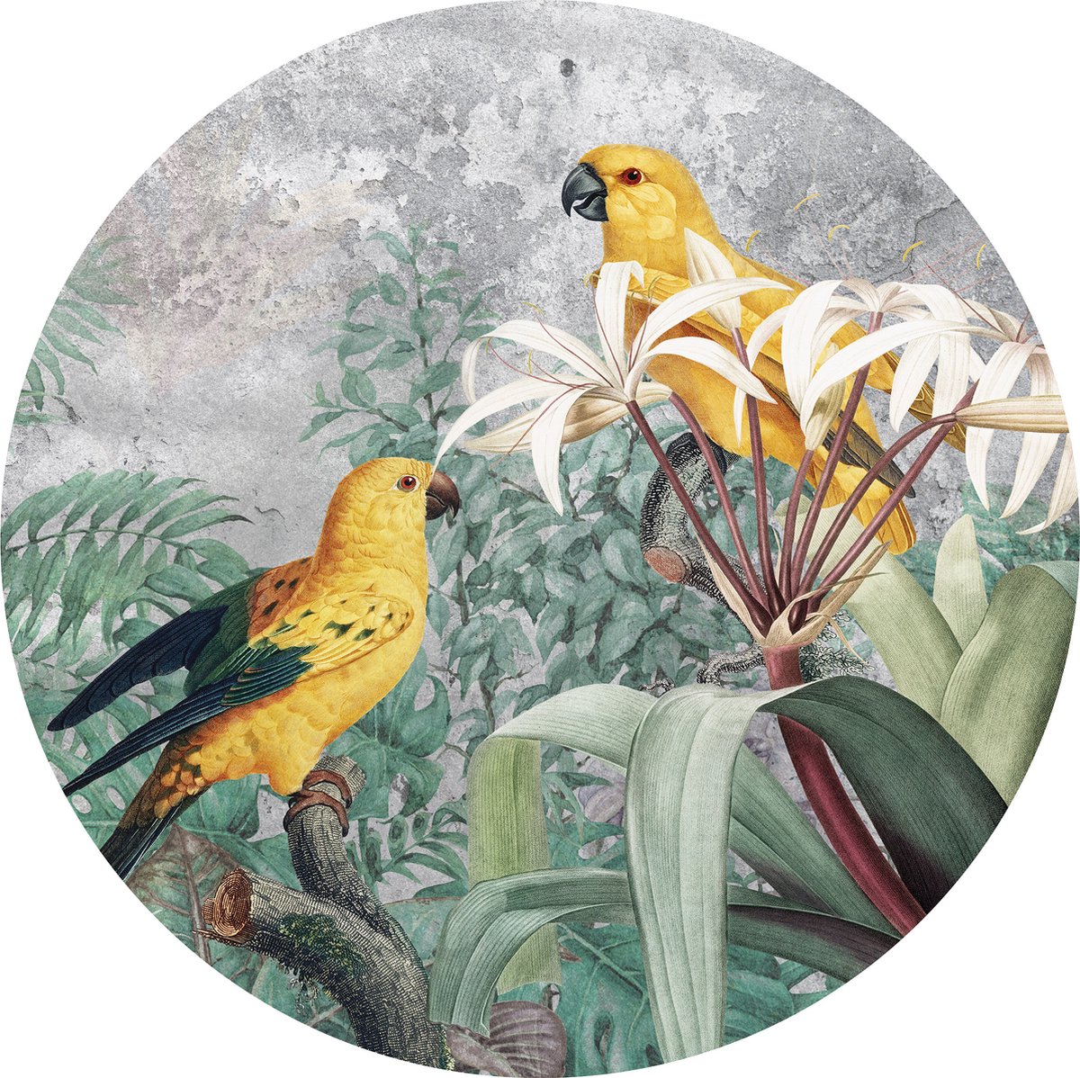 Tizato - Muurcirkel Jungle Papegaaien – Zelfklevende wandcirkel Muursticker – Ø 182 cm