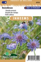 Sluis garden - Inheemse bloemenzaden - Beemdkroon - geproduceerd in Nederland