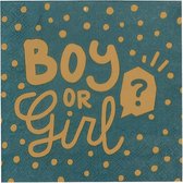 Boland - Set 12 Papieren servetten 'Boy or Girl?' - Geen thema