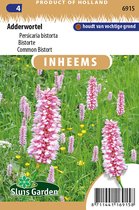 Sluis garden - Inheemse bloemenzaden - Adderwortel - geproduceerd in Nederland
