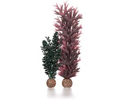 BiOrb Zeeparels & Zeewier Donkergroen