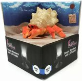 H2SHOW Hermit Crab + White Light Krab met Led Aquarium