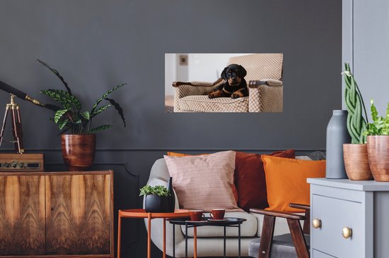 Stickers muraux - Film autocollant - Chiot Rottweiler mignon assis sur une chaise - 80x40 cm - Film adhésif - Stickers muraux chambre d'enfant - Papier peint autocollant - Papier peint autocollant - Film autocollant