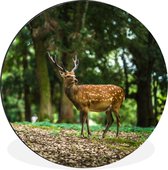 WallCircle - Wandcirkel - Muurcirkel - Hert - Bos - Dier - Aluminium - Dibond - ⌀ 140 cm - Binnen en Buiten
