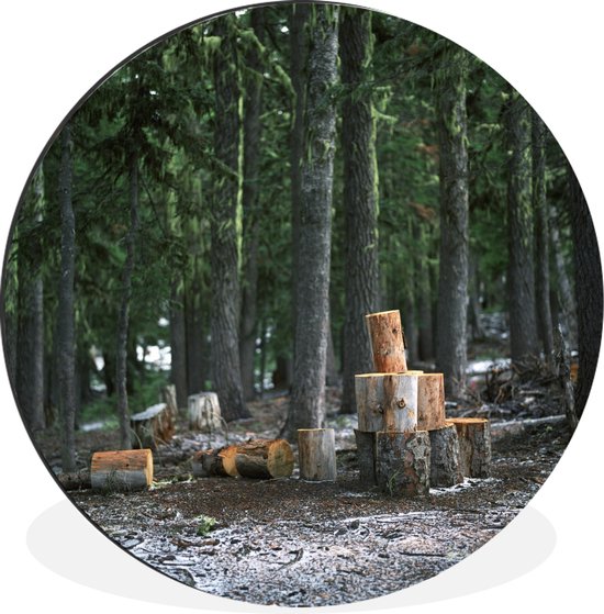 WallCircle - Wandcirkel - Muurcirkel - Meerdere recent gekapte boomstammen in een bos - Aluminium - Dibond - ⌀ 90 cm - Binnen en Buiten