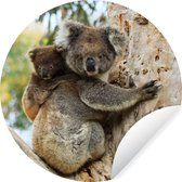 WallCircle - Muurstickers - Behangcirkel - Koala's - Kind - Boom - Kinderen - Jongens - Meiden - ⌀ 30 cm - Muurcirkel - Zelfklevend - Ronde Behangsticker