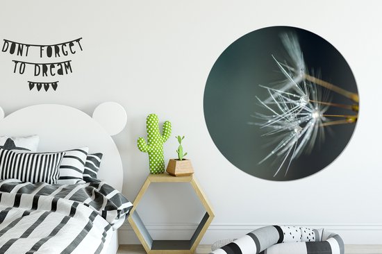 Graines de pissenlit recouvertes d'autocollant de papier peint de cercle de mur de rosée précoce ⌀ 140 cm / cercle de papier peint / cercle de mur / cercle vivant - autocollant et coupe ronde