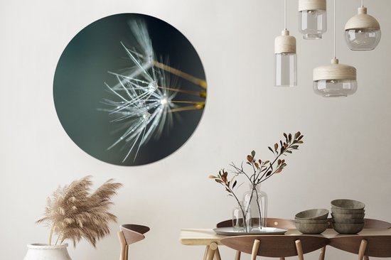 Graines de pissenlit recouvertes d'autocollant de papier peint de cercle de mur de rosée précoce ⌀ 140 cm / cercle de papier peint / cercle de mur / cercle vivant - autocollant et coupe ronde