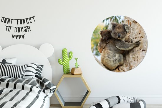 Koalas - Enfant - Arbre