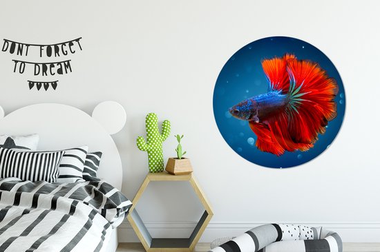 Cercle mural - Cercle mural - Poisson - Water - Rouge - Aluminium - Dibond - ⌀ 90 cm - Intérieur et Extérieur