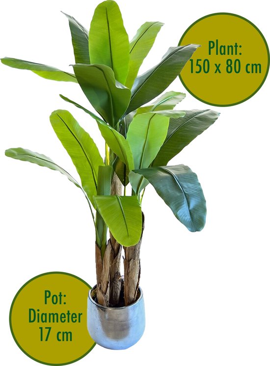 Maia Shop | Bananier Artificiel | Plante Artificielle interiur | Mesures: 180 x 90 cm | Plante Artificielle Grande | Fausse Plante | Décoration