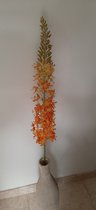Zijden bloemen Naald van Cleopatra 106cm oranje