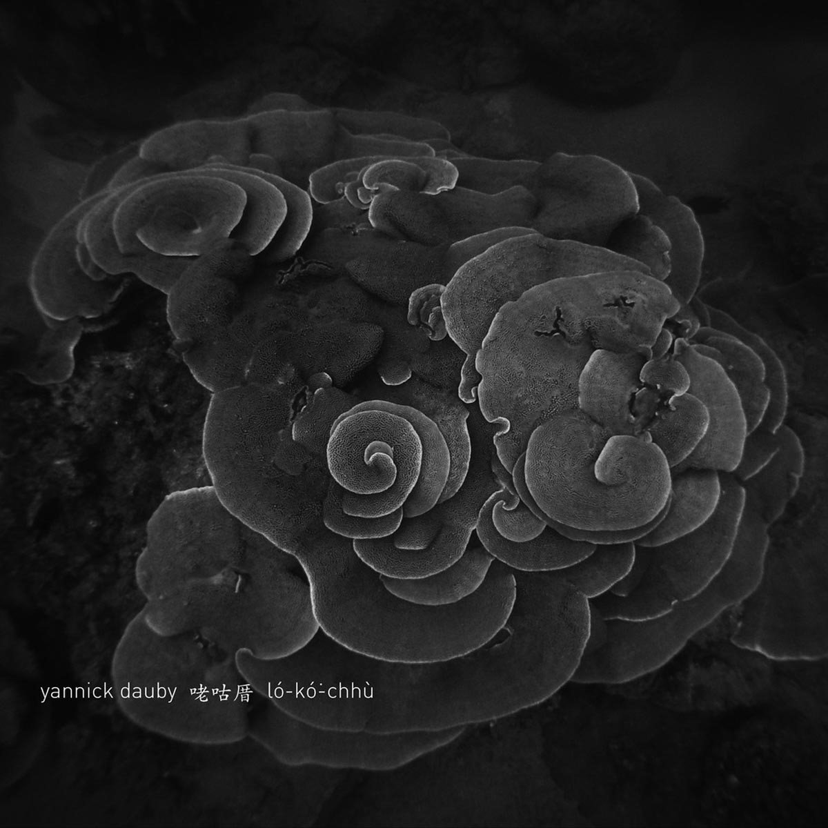Yannick Dauby - Penghu Experimental Sound Vol.2 (LP)