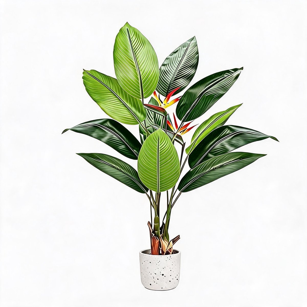 Danky Tropische Kunstplant 145cm PEVA - Onderhoudsvrij decor voor thuis, kantoor en verhuiscadeaus