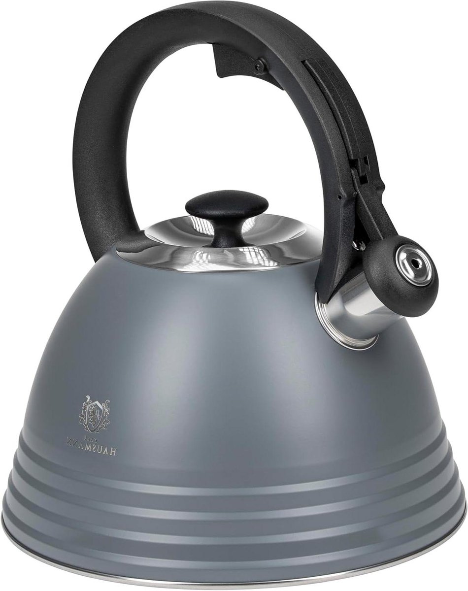 Fluitketel - Waterketel Ketel - Water Koken - Handgreep Koel - 3 Liter - Grijs