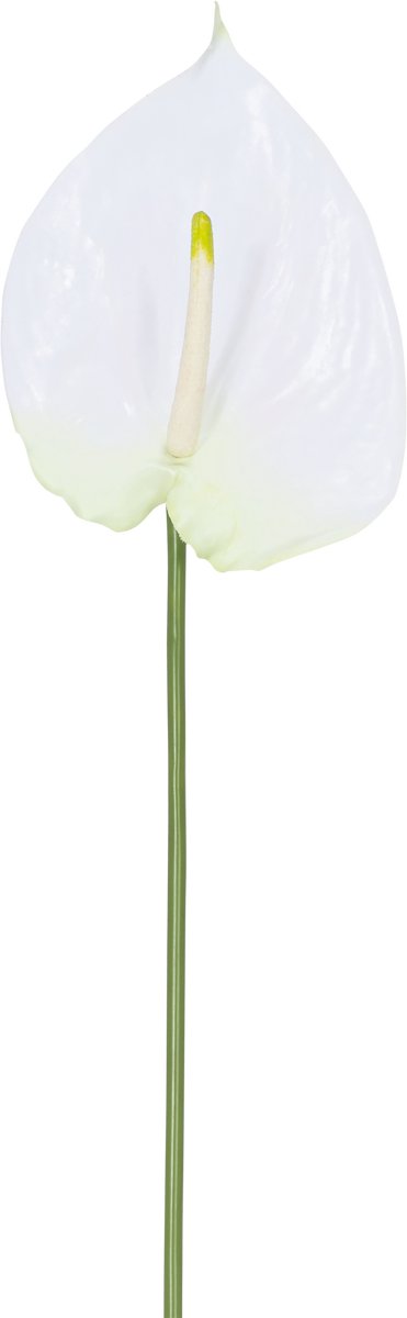 Easyplants | Kunstbloem Anthurium 68 cm roze | Zijde | Nepbloemen | wit | Onderhoudsvrij | Kant-en-klaar