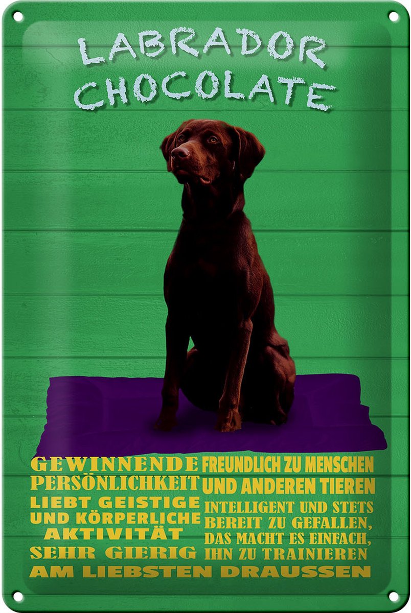 Blechschild Spruch 20x30cm Labrador Chocolate Hund