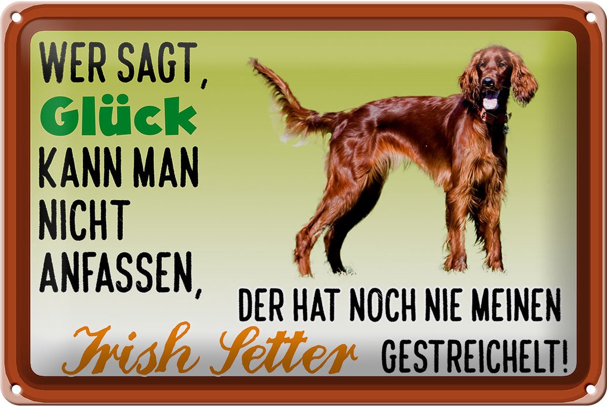 Blechschild Spruch 30x20cm Glück Irish Setter Hund