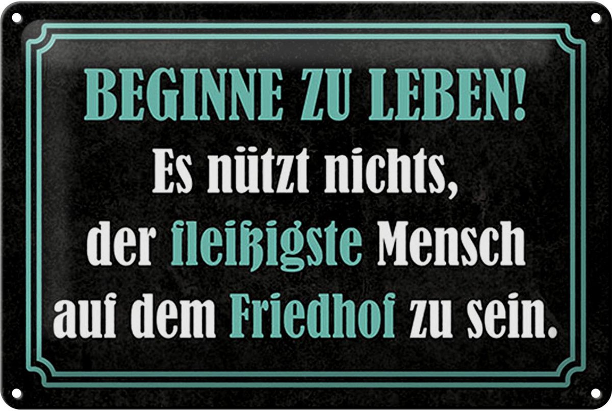 Blechschild Spruch 20x30 cm Beginne zu leben Deko Schild