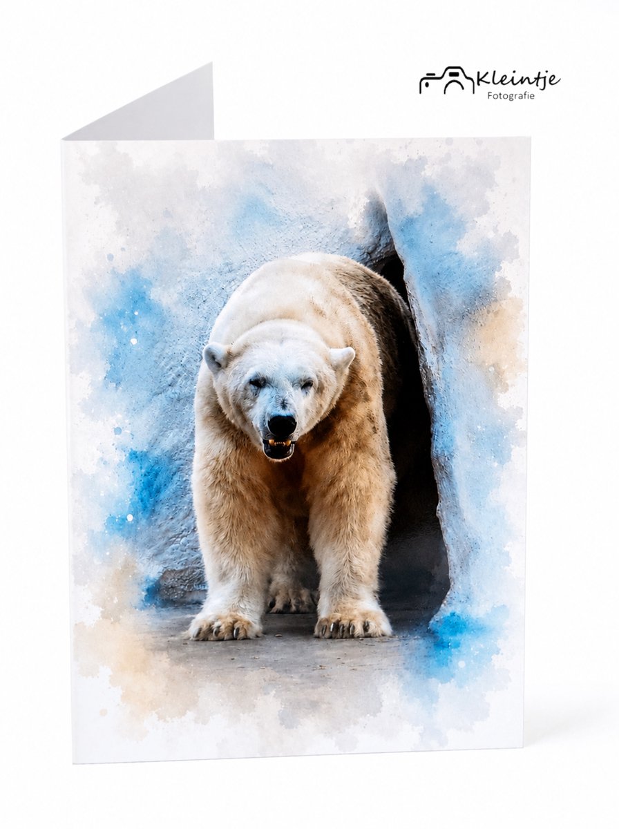 ijsbeer wenskaart – zomaar | Kleintje Fotografie l blanco