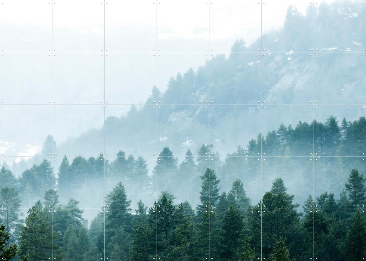 IXXI Foggy Evergreen Forest In The Mountains 8000 Px, Claire Droppert - 140 x 100 cm - Gratis ophangtool - Grote wanddecoratie en posters - Realisme