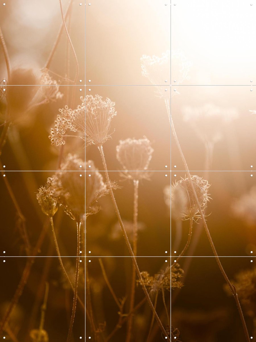 IXXI Golden Hour, Mareike Böhmer - 60 x 80 cm - Gratis ophangtool - Grote wanddecoratie en posters - Naturalisme, Realisme, Slaapkamer, Woonkamer