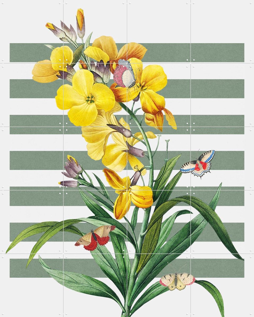 IXXI The Spring Collection, Marja van den Hurk - 80 x 100 cm - Gratis ophangtool - Grote wanddecoratie en posters - Strepen, Studeerkamer, Woonkamer