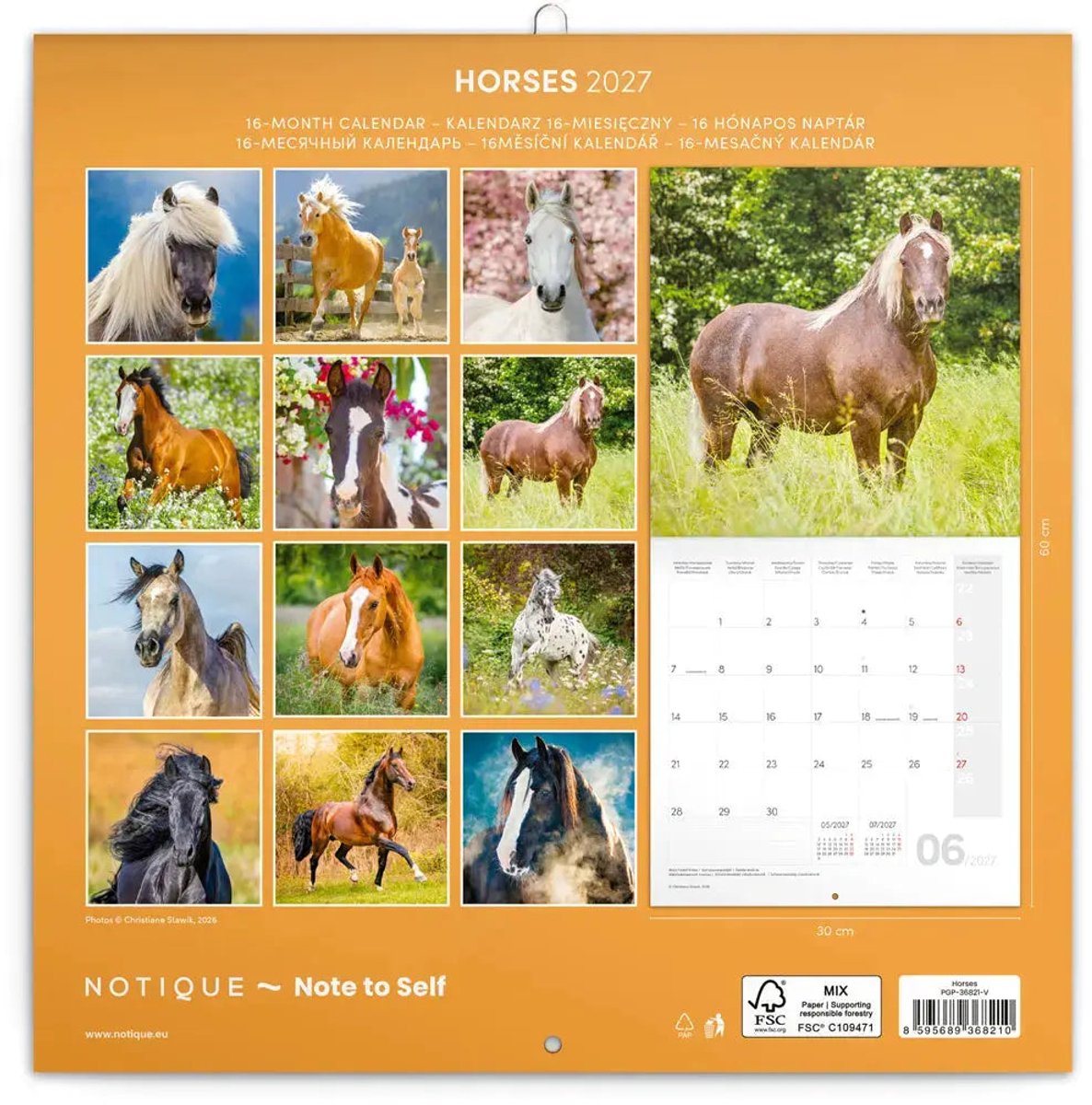Paarden Kalender 2027