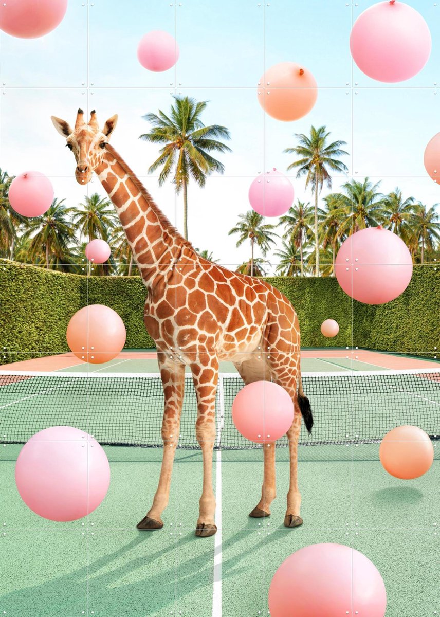 IXXI Tennis Giraffe, Paul Fuentes - 100 x 140 cm - Gratis ophangtool - Grote wanddecoratie en posters - Speels, Digitale Kunst, Kinderkamer, Dieren