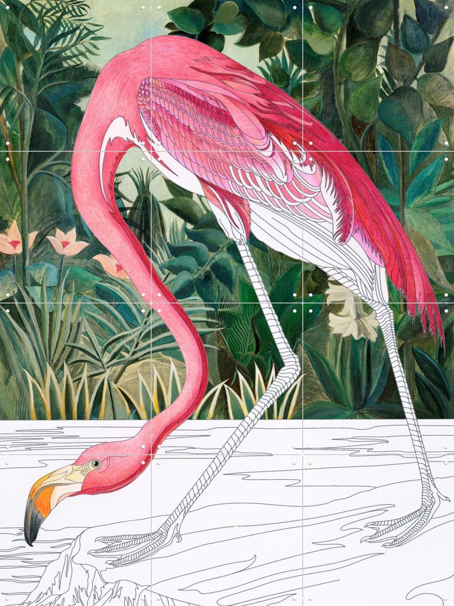 IXXI A Flamingo Reimagined, Marja van den Hurk - 60 x 80 cm - Gratis ophangtool - Grote wanddecoratie en posters - Kleurrijk, Speels, Line art
