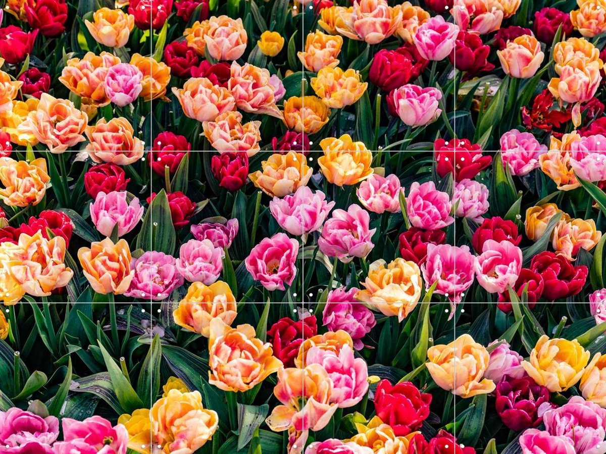 IXXI Keukenhof, Margriet Hulsker - 80 x 60 cm - Gratis ophangtool - Grote wanddecoratie en posters - Fotografie, Kleurrijk, Woonkamer, Eetkamer