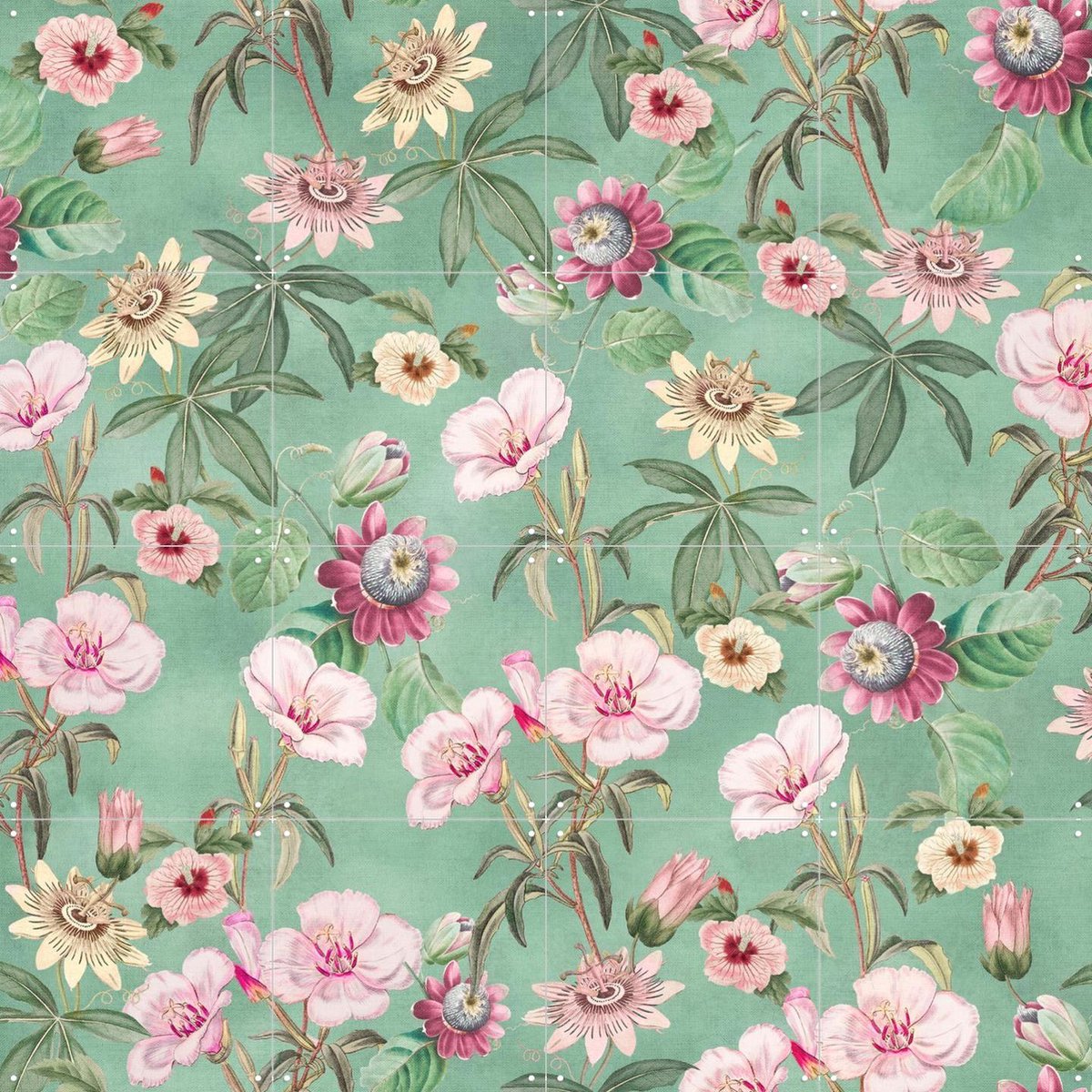 IXXI Tropical Vintage Passiflora and Hibiscus, Bloomery Decor - 80 x 80 cm - Gratis ophangtool - Grote wanddecoratie en posters - Decoratieve kunsten