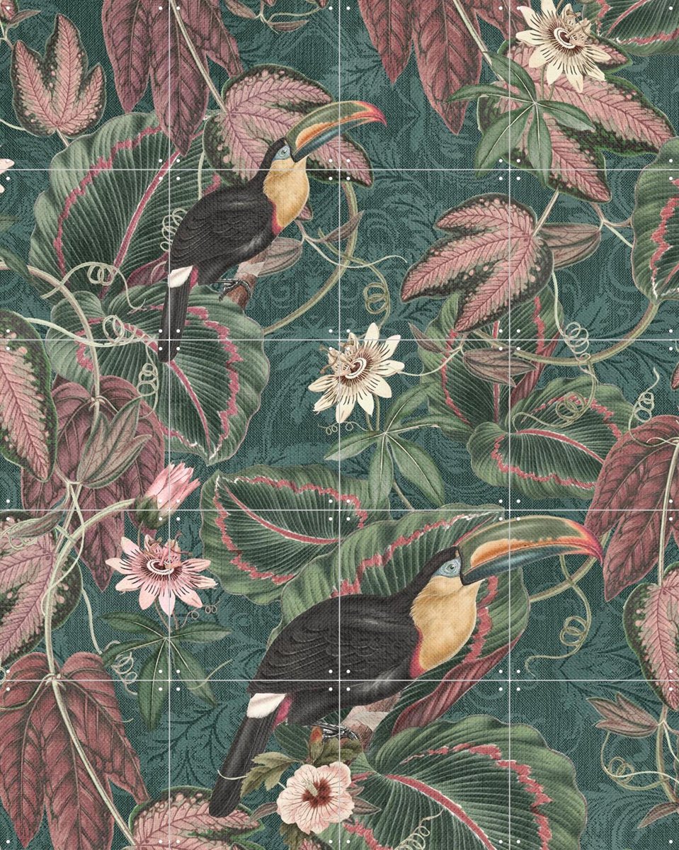 IXXI Jungle Toukans Passiflora Garden, Bloomery Decor - 80 x 100 cm - Gratis ophangtool - Grote wanddecoratie en posters - Kleurrijk, Ornamenteel