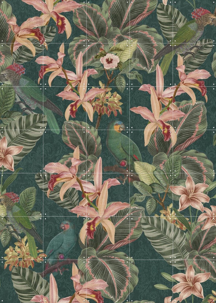 IXXI Jungle Parrots Midnight Garden, Bloomery Decor - 100 x 140 cm - Gratis ophangtool - Grote wanddecoratie en posters - Ornamenteel Ontwerp