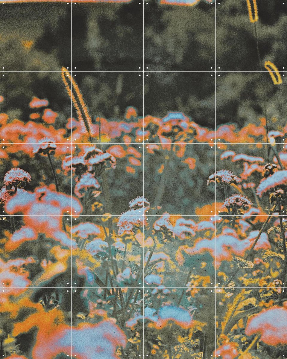 IXXI How Sweet It Is, Amber Lauder - 80 x 100 cm - Gratis ophangtool - Grote wanddecoratie en posters - Modern, Gemengde Technieken, Woonkamer, Trap