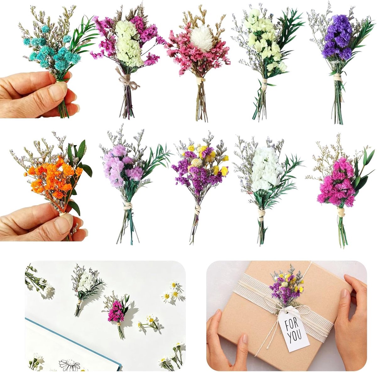 Gedroogde bloemen, kleine natuurlijke boeketten, gedroogde bloemen, voor creatieve vrije tijd, vazen, scrapbooking, fotoalbums en decoratie van geschenkdozen